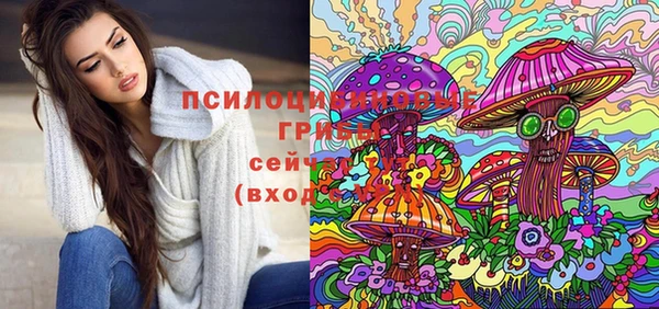 молекула духа Магас
