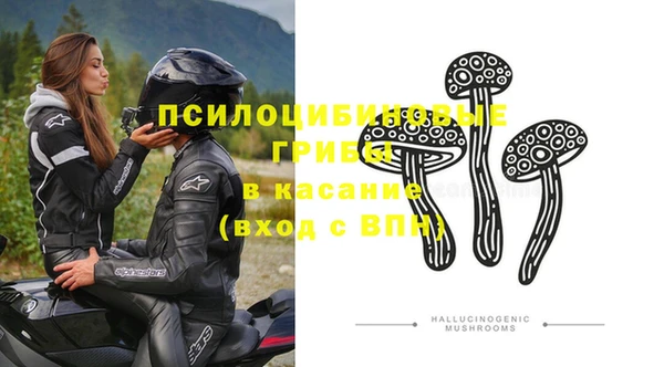 молекула духа Магас