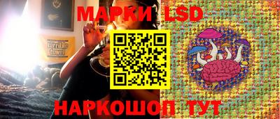 мдпв Кандалакша