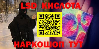 a pvp Камышлов