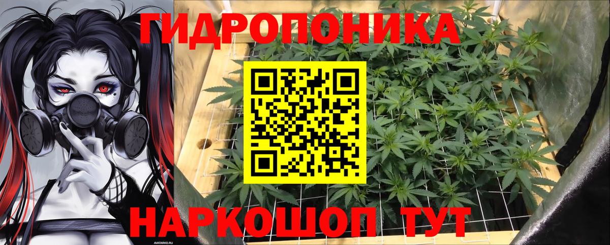 Конопля SATIVA & INDICA Нягань